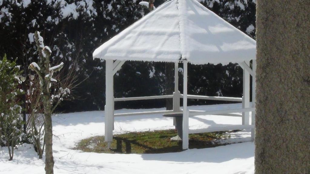 Hotel Logis Le Relais De La Poste Neuvéglise Dış mekan fotoğraf